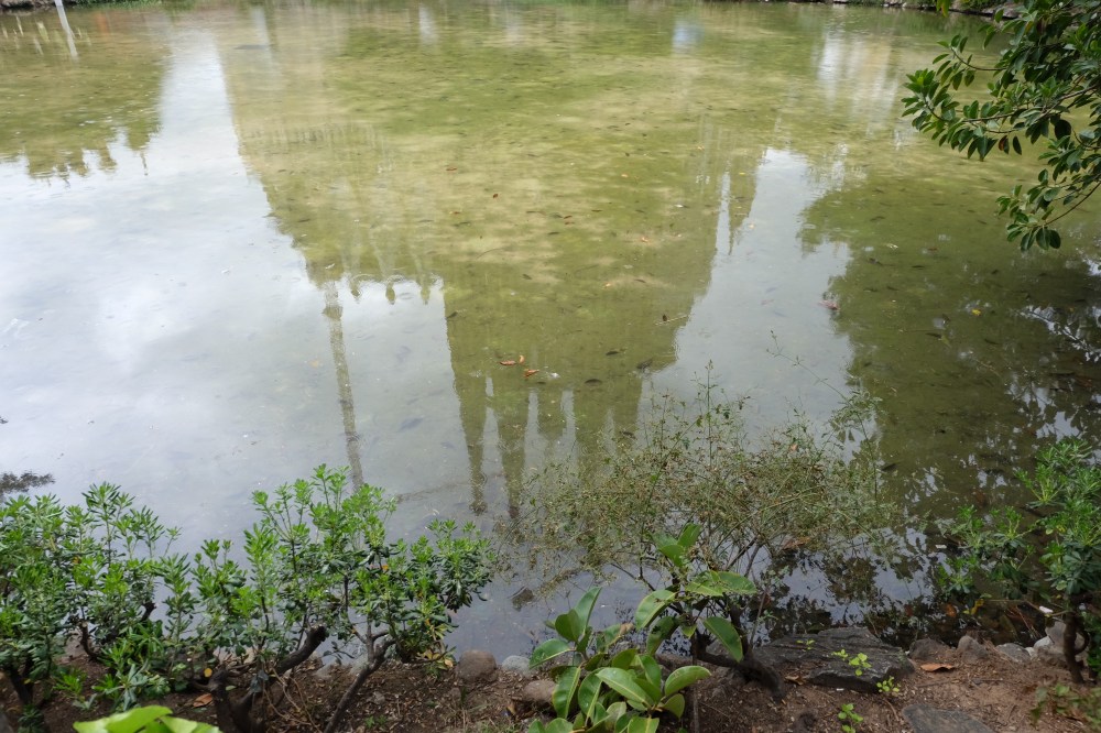 La Sagrada Familia (4)