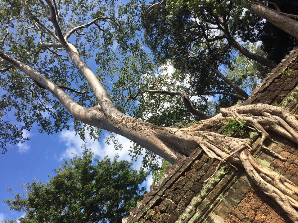 23132052_10215119167159321_7971653809023918643_n