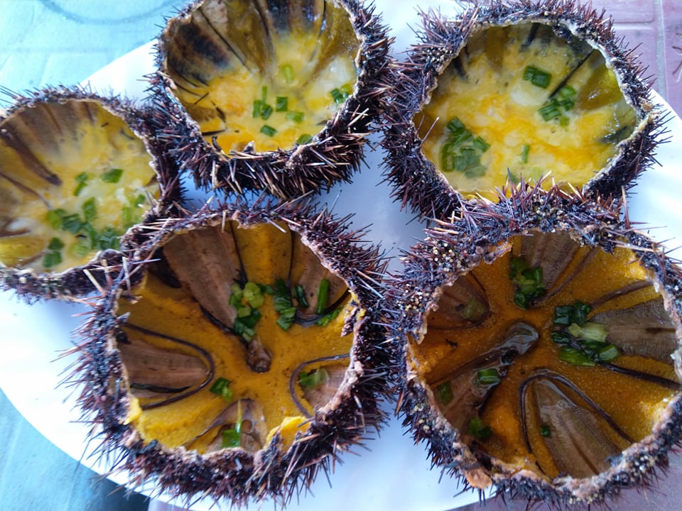 60504376_303210423941712_7397538502537117696_n