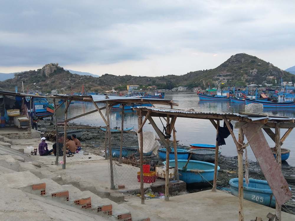 61747333_335226144063077_1950192431177662464_n